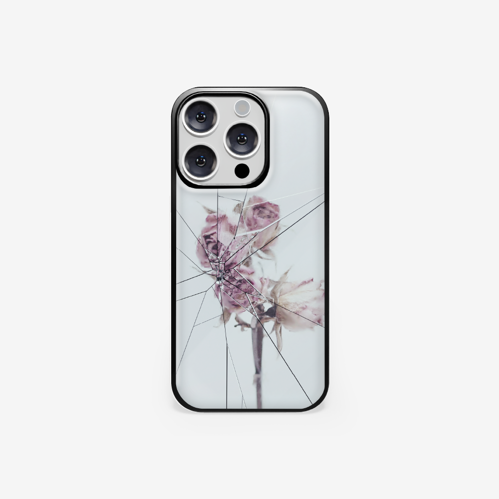 carousel-846008